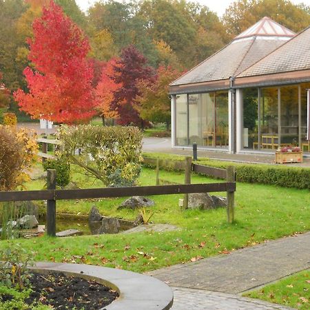 Le Relais De La Haute Sambre Lobbes Exteriér fotografie